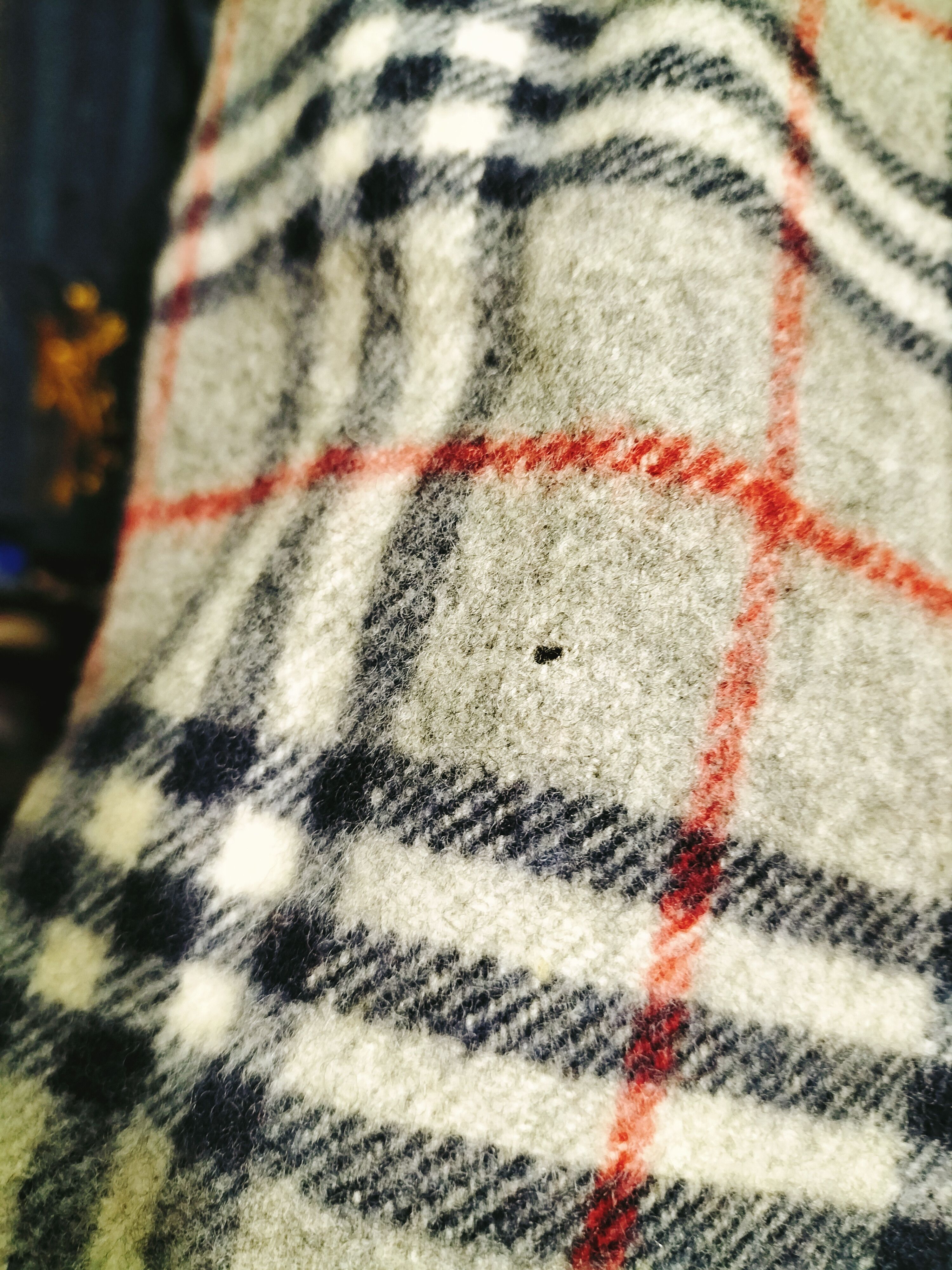 Burberry Vintage Burberry Wool Scarf Gray Embroidery Logo OG Size ONE SIZE - 7 Thumbnail