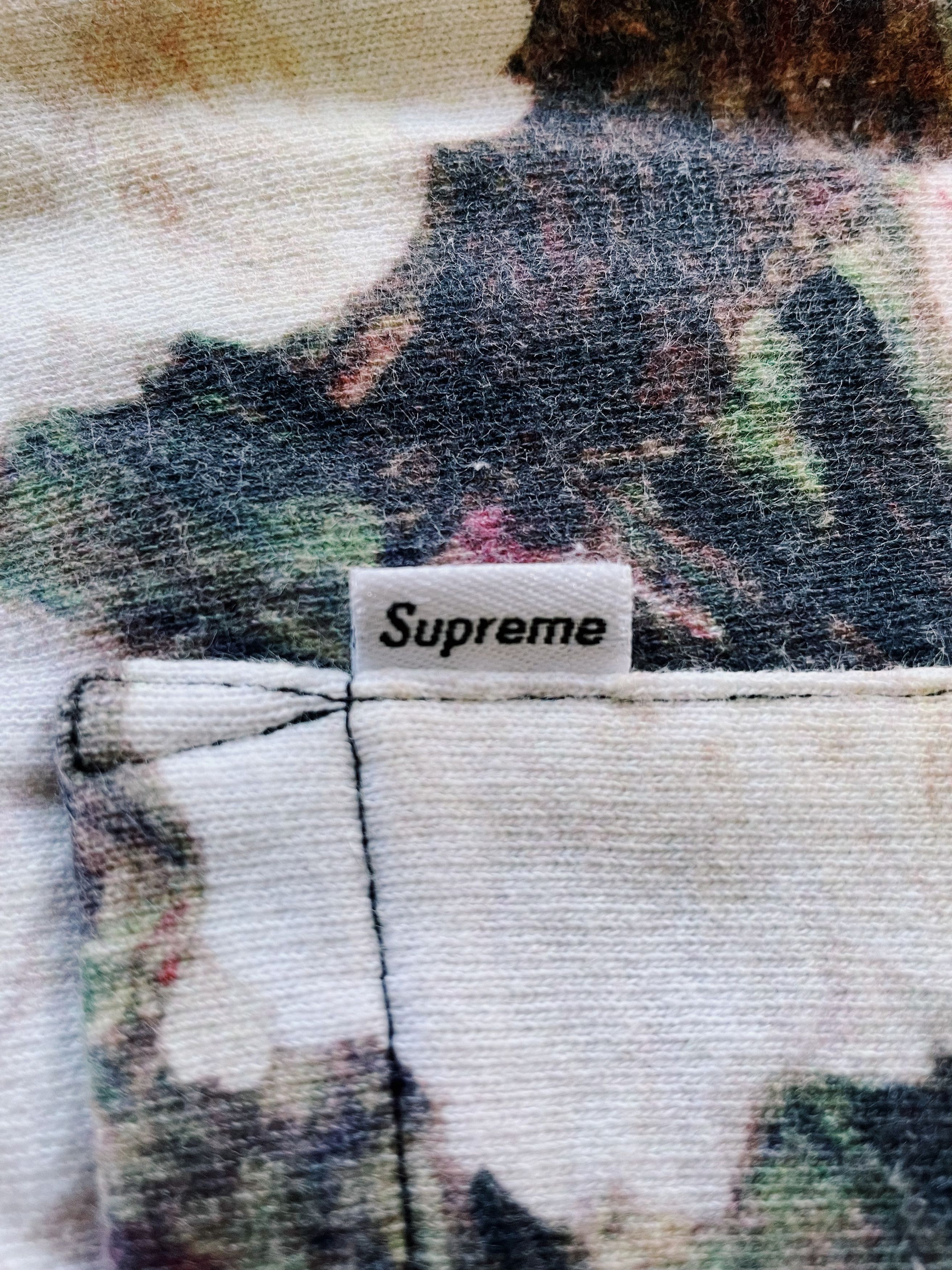 Supreme Supreme Power Corruption Lies Flower Sweatshorts Multi Size US 30 / EU 46 - 5 Thumbnail