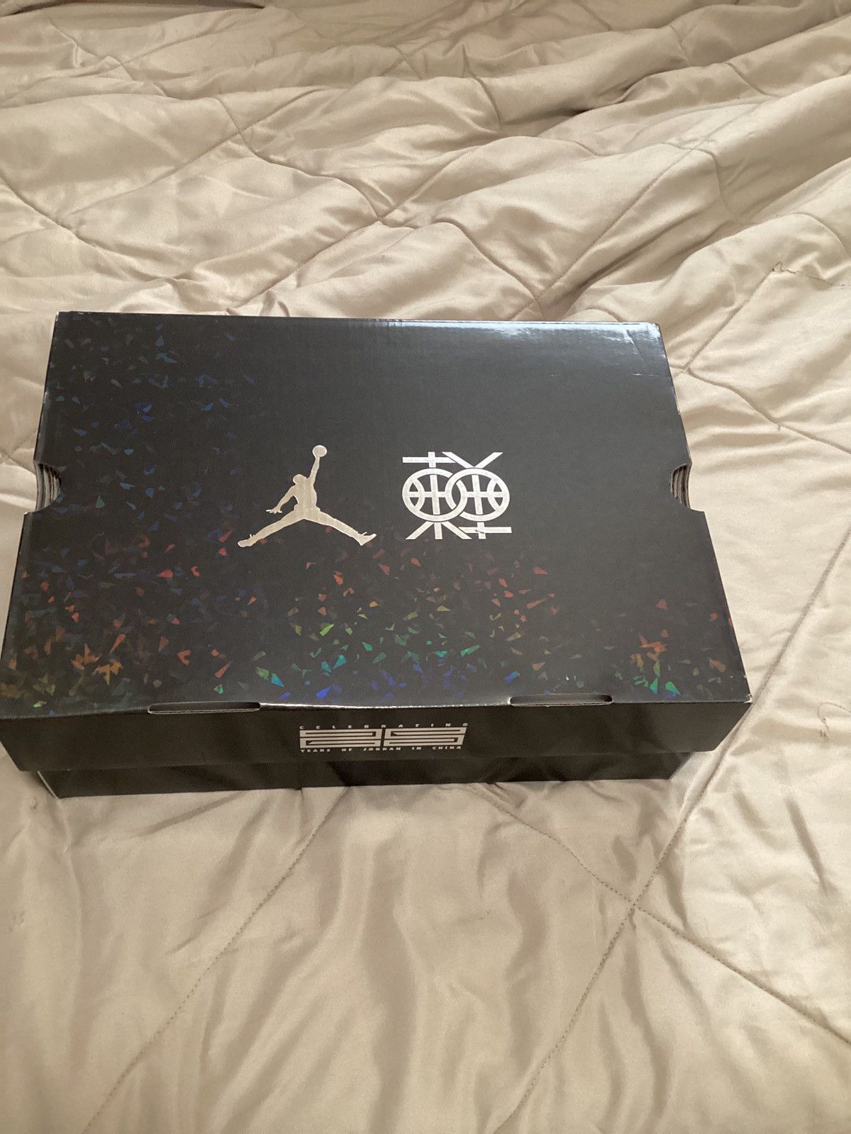 Jordan Brand AIR JORDAN 12 LOW "25 Years In China" Reflective - Size 11 Size US 11 / EU 44 - 12 Thumbnail