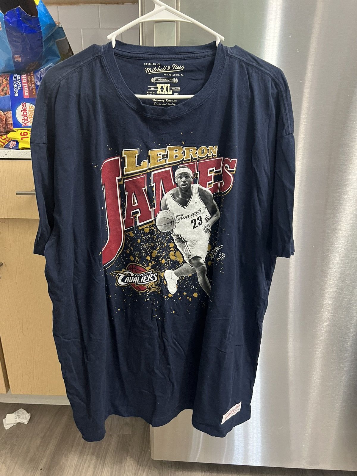 mitchell and ness lebron james