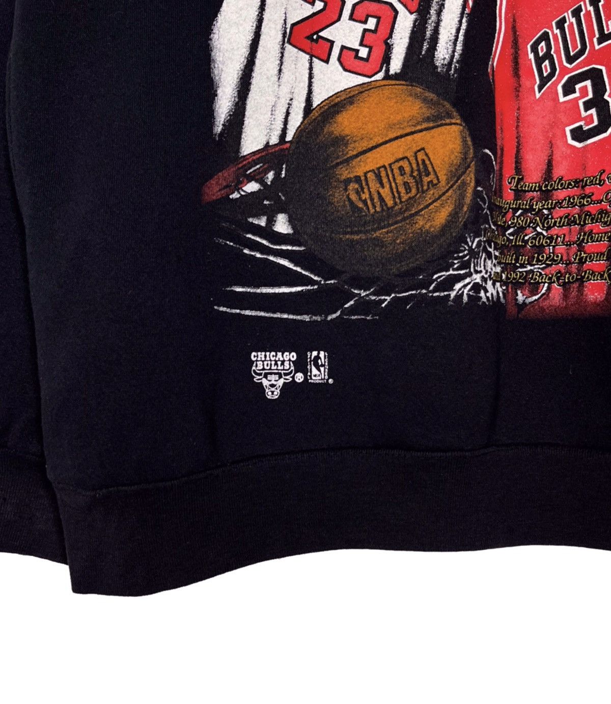 NBA Chicago Bulls NBA Sweatshirt Nutmeg Mens Sz L Size US L / EU 52-54 / 3 - 5 Thumbnail