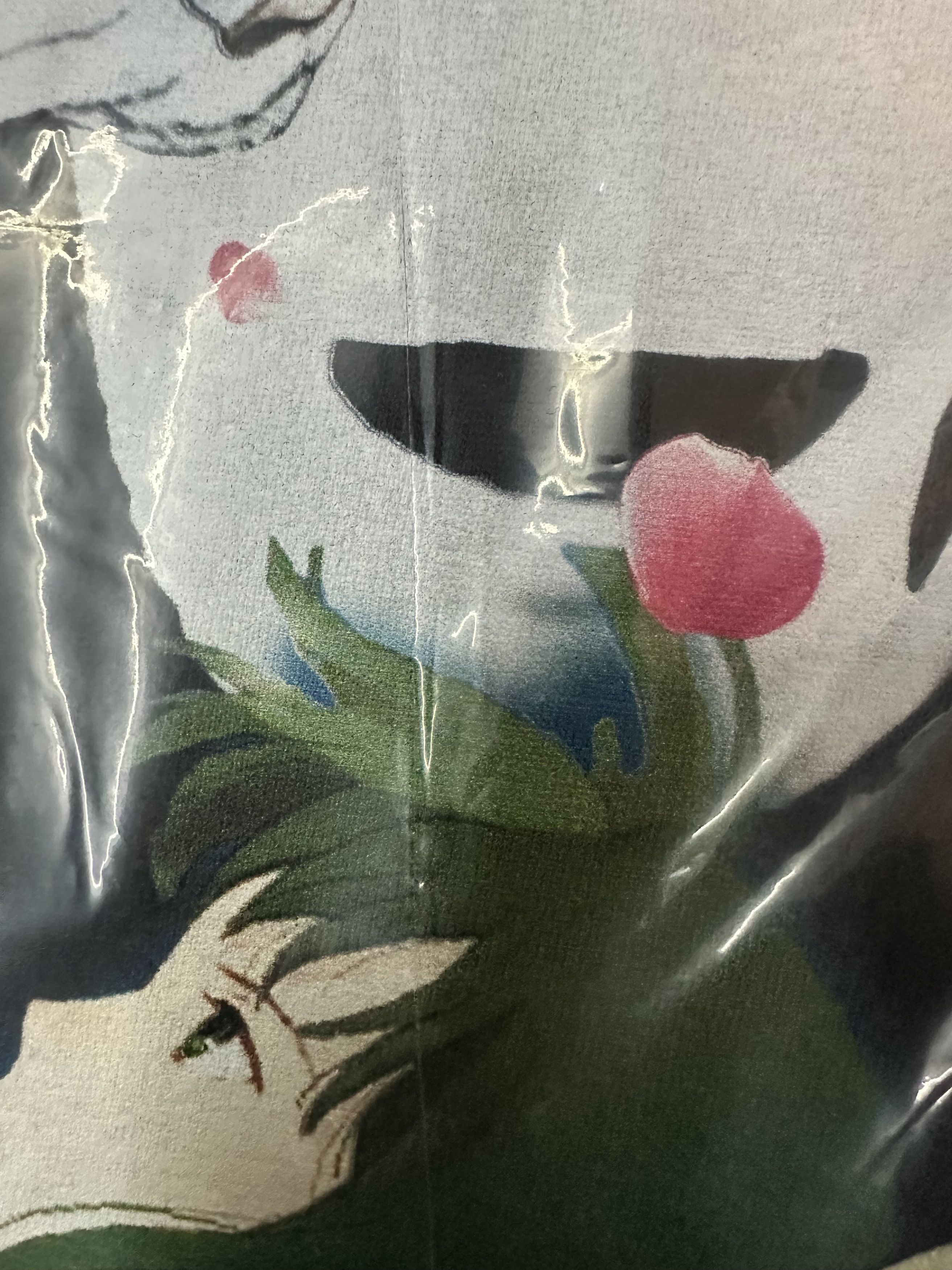 Darien Bruze Spirited Away Size US M / EU 48-50 / 2 - 5 Thumbnail