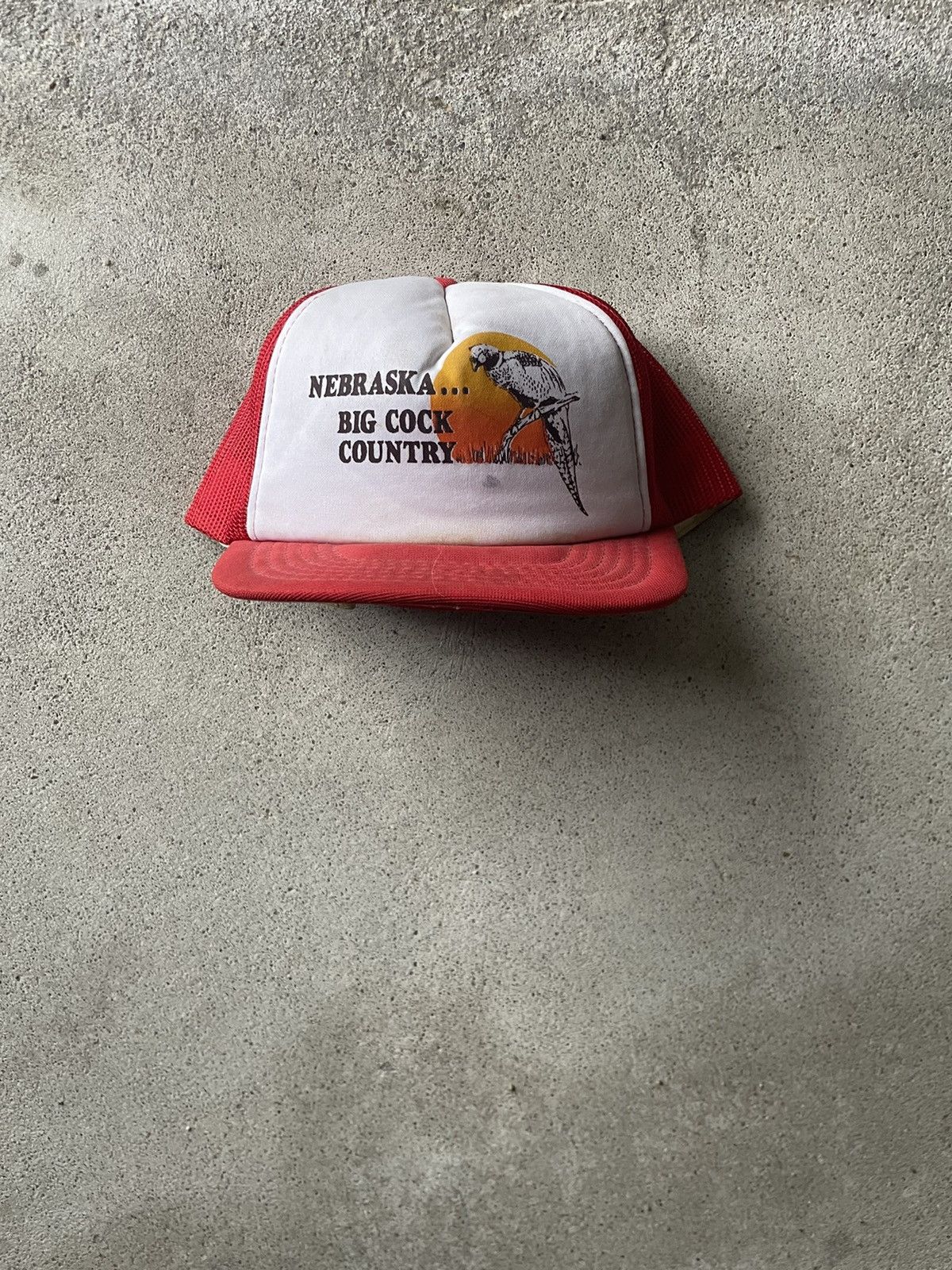 Vintage Vintage Nebraska big cock country trucker hat | Grailed