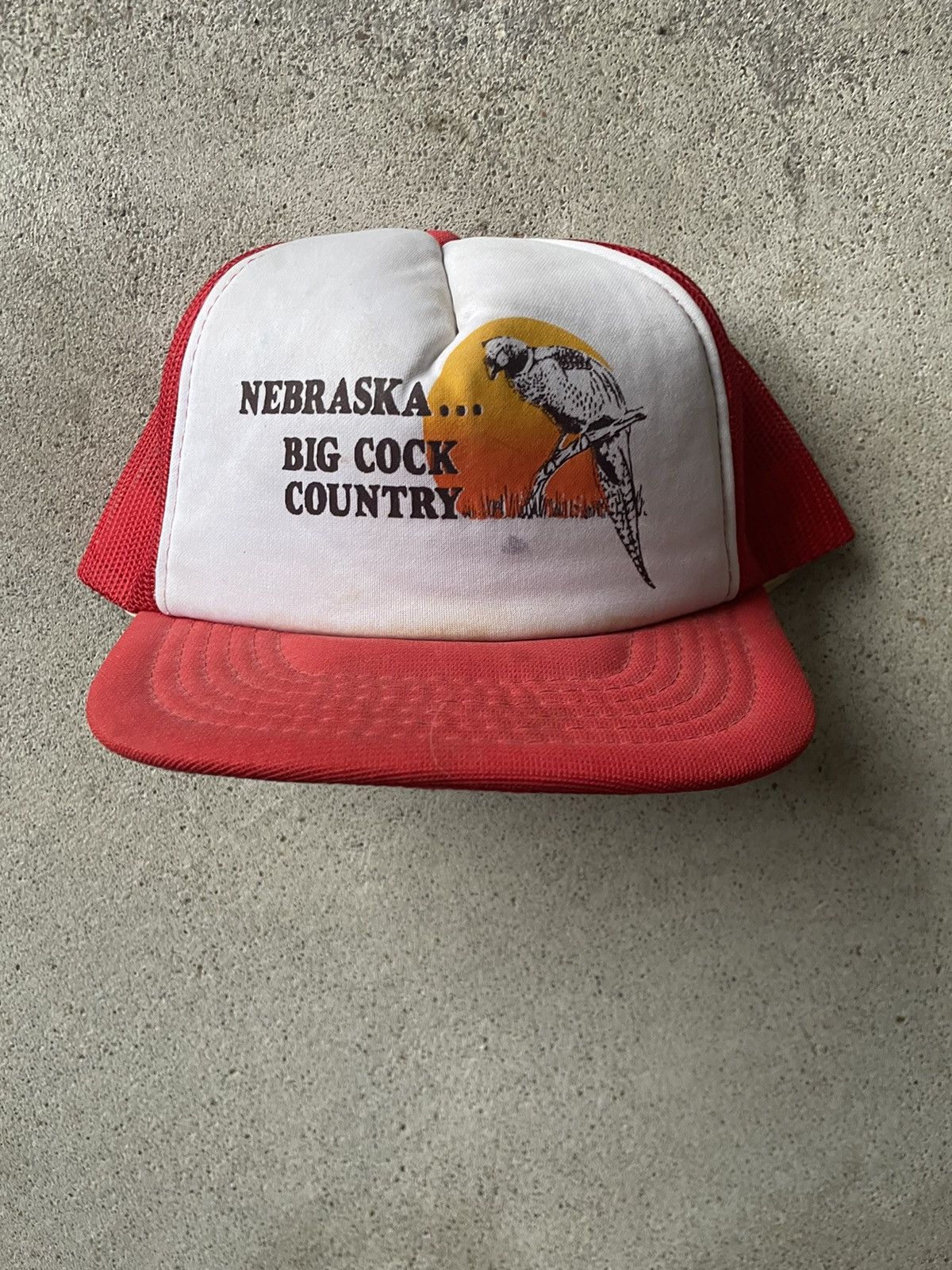 Vintage Vintage Nebraska big cock country trucker hat | Grailed