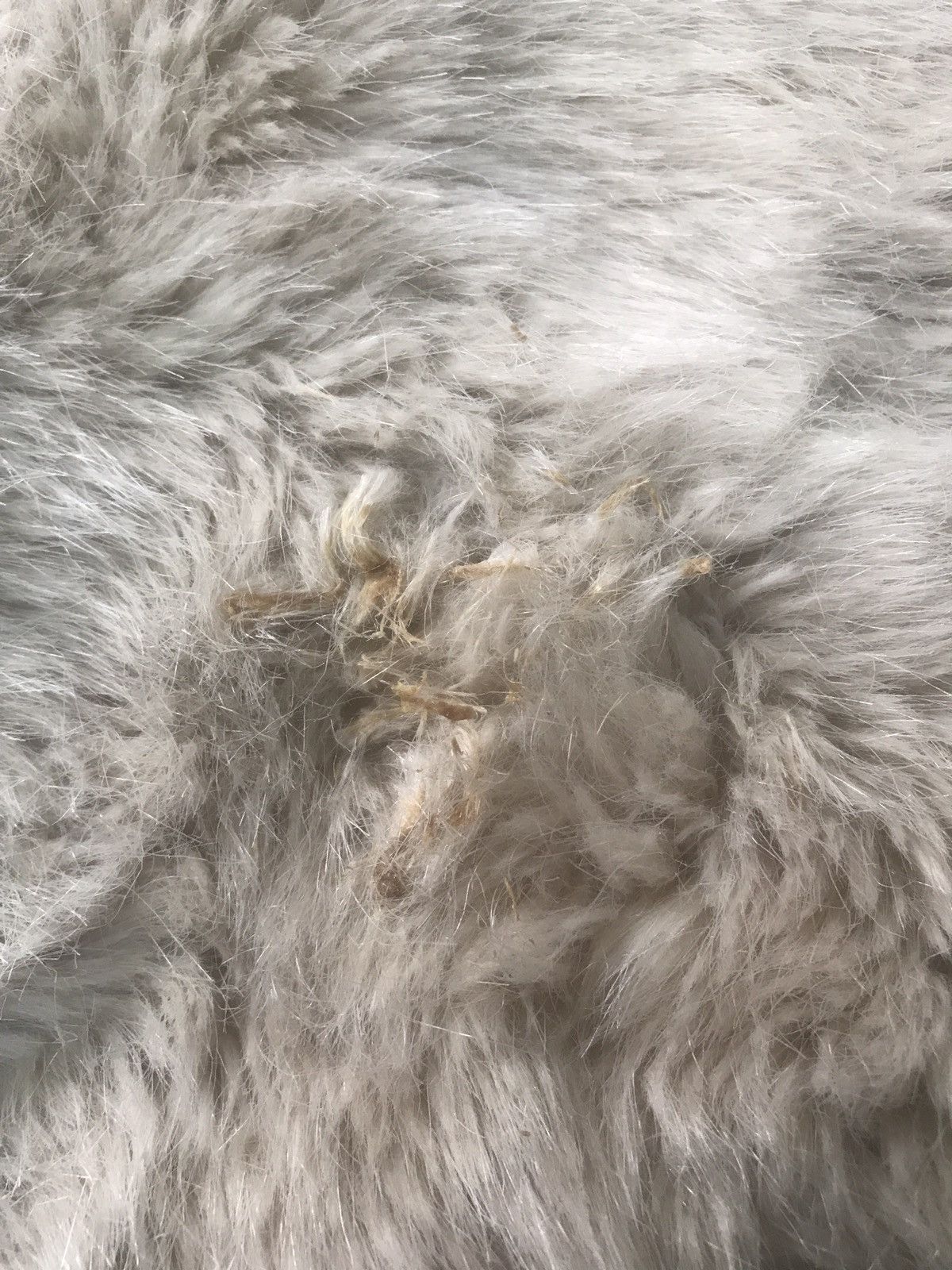 VESTS FUR 23. (CJ7)
