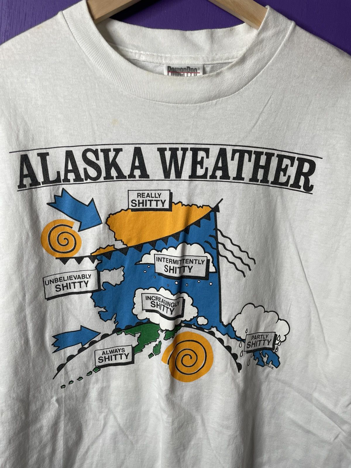 Vintage 90s Alaska weather funny t-shirt