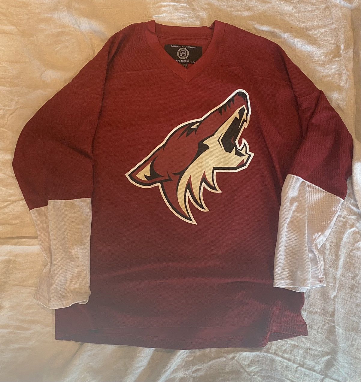 Vintage Arizona Coyotes CCM NHL Jersey Sz XL for Sale in