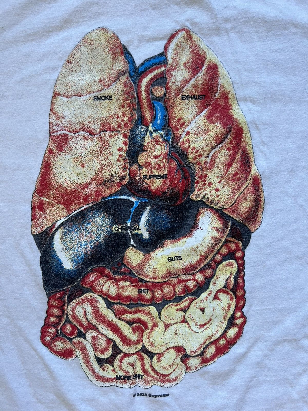Supreme Supreme guts T shirt Size US L / EU 52-54 / 3 - 3 Thumbnail