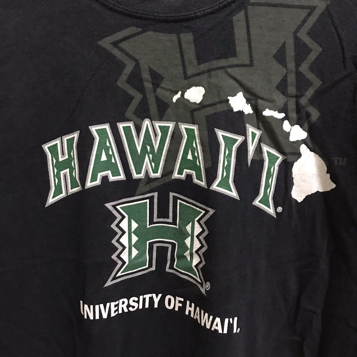 Hanes UNIVERSITY OF HAWAII TSHIRT Size US M / EU 48-50 / 2 - 4 Thumbnail