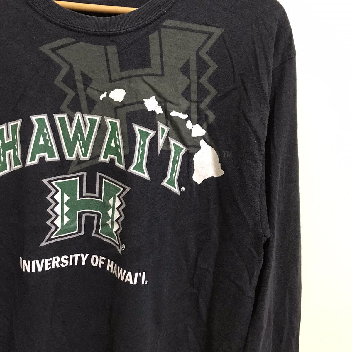 Hanes UNIVERSITY OF HAWAII TSHIRT Size US M / EU 48-50 / 2 - 6 Thumbnail