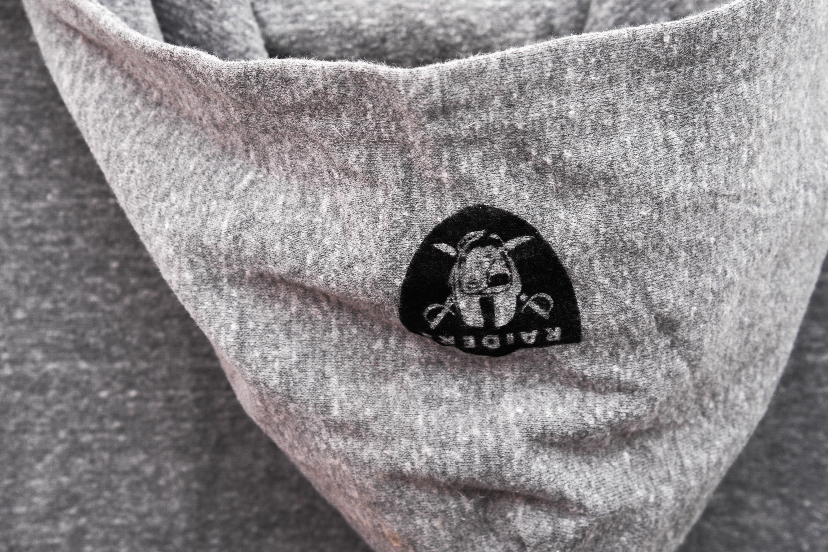 NFL NFL Oakland Raiders Hoodie sweater sweatshirt Las vegas Size US M / EU 48-50 / 2 - 5 Thumbnail