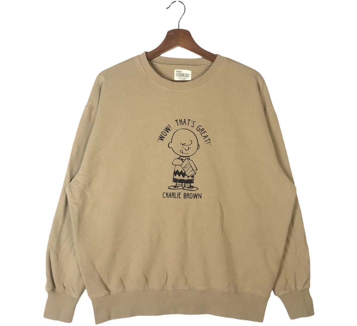 Crewneck Brown Vintage Sweater Vintage Peanuts Charlie Brown