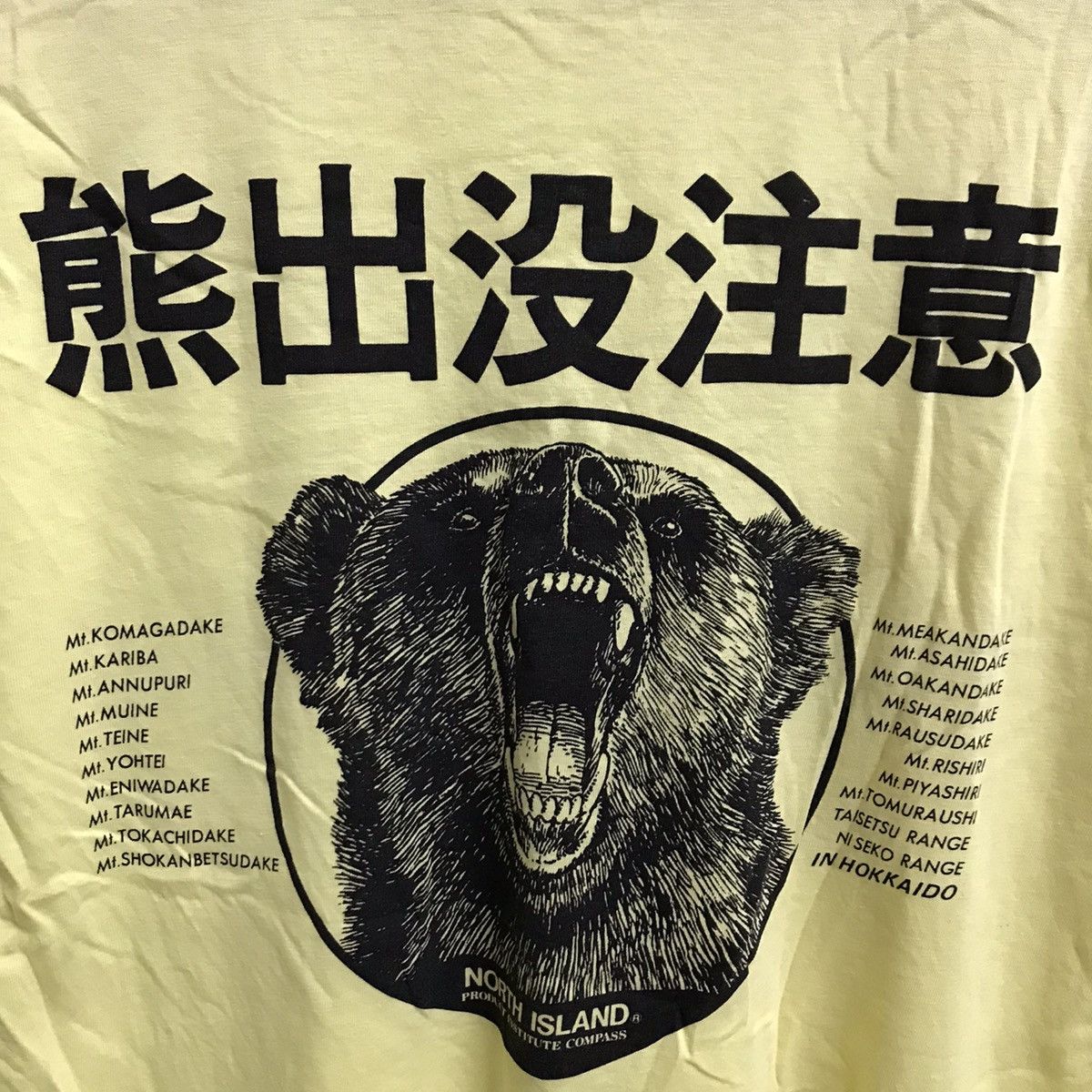 Japanese Brand VITNAGE JAPAN 90S NORTH ISLAND TSHIRT Size US S / EU 44-46 / 1 - 4 Thumbnail