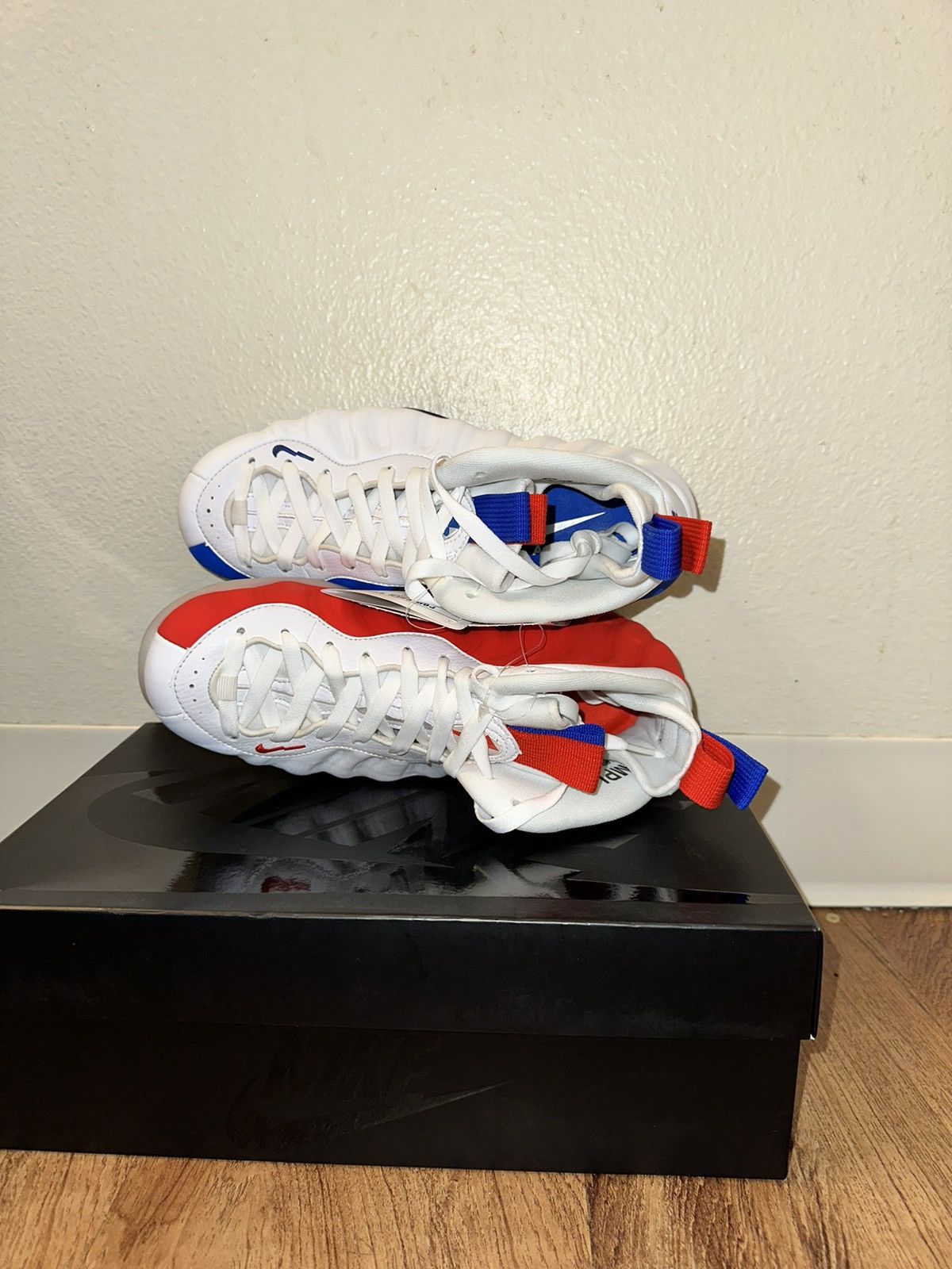 Nike Air Foamposite One USA (W) Sample
