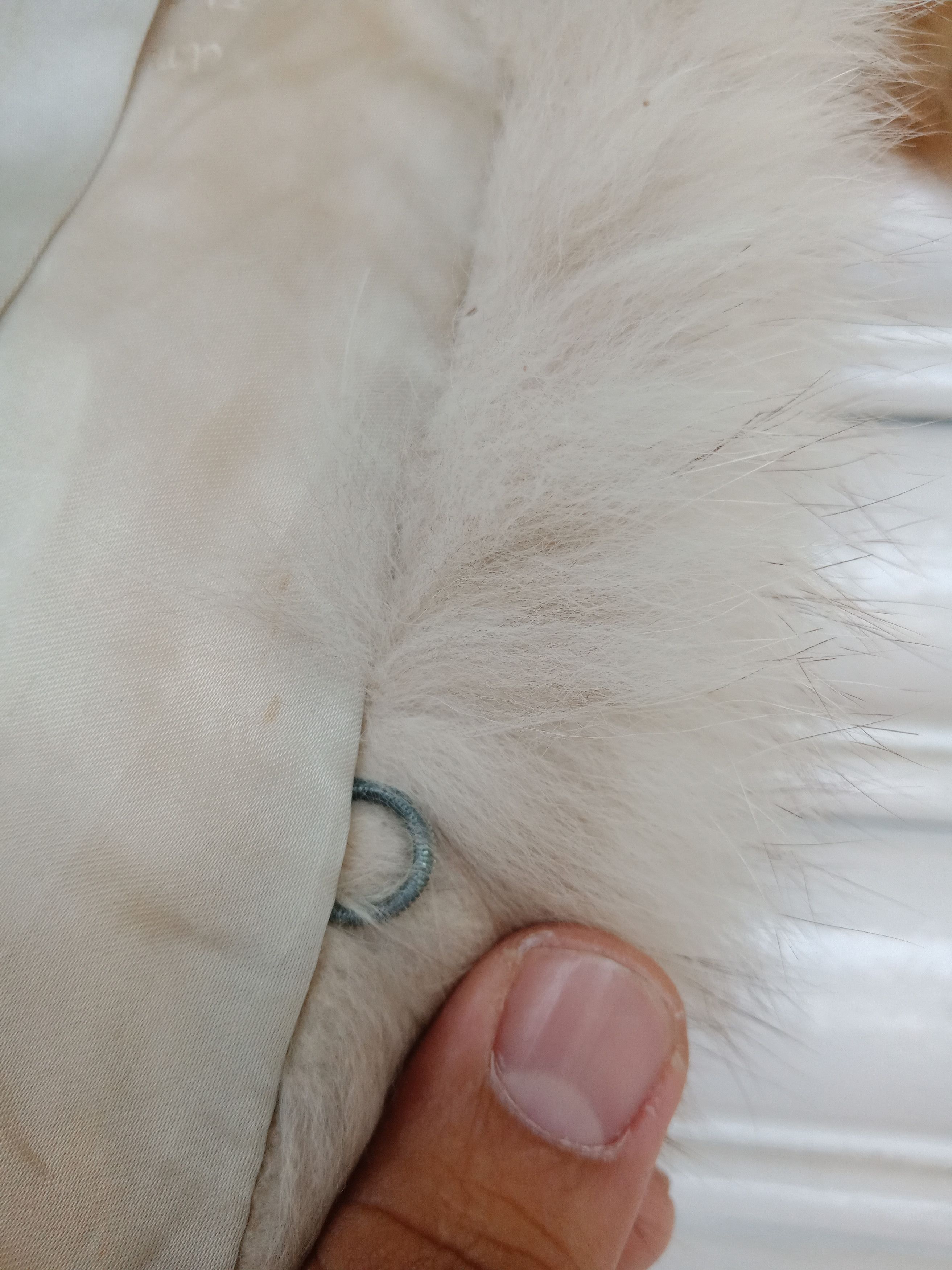 Jacques Saint Laurent Jacques Saint Laurent Fur Size ONE SIZE - 11 Thumbnail