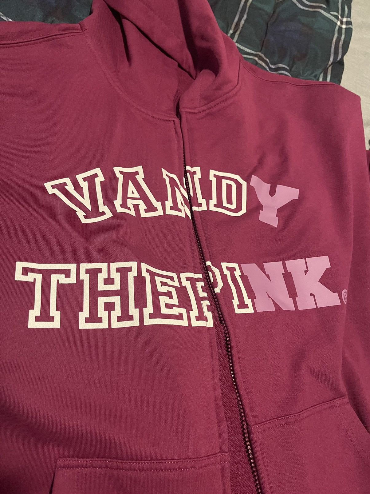 Louis Vuitton Vandy the Pink sweatshirt (Jacksonville Beach) $400