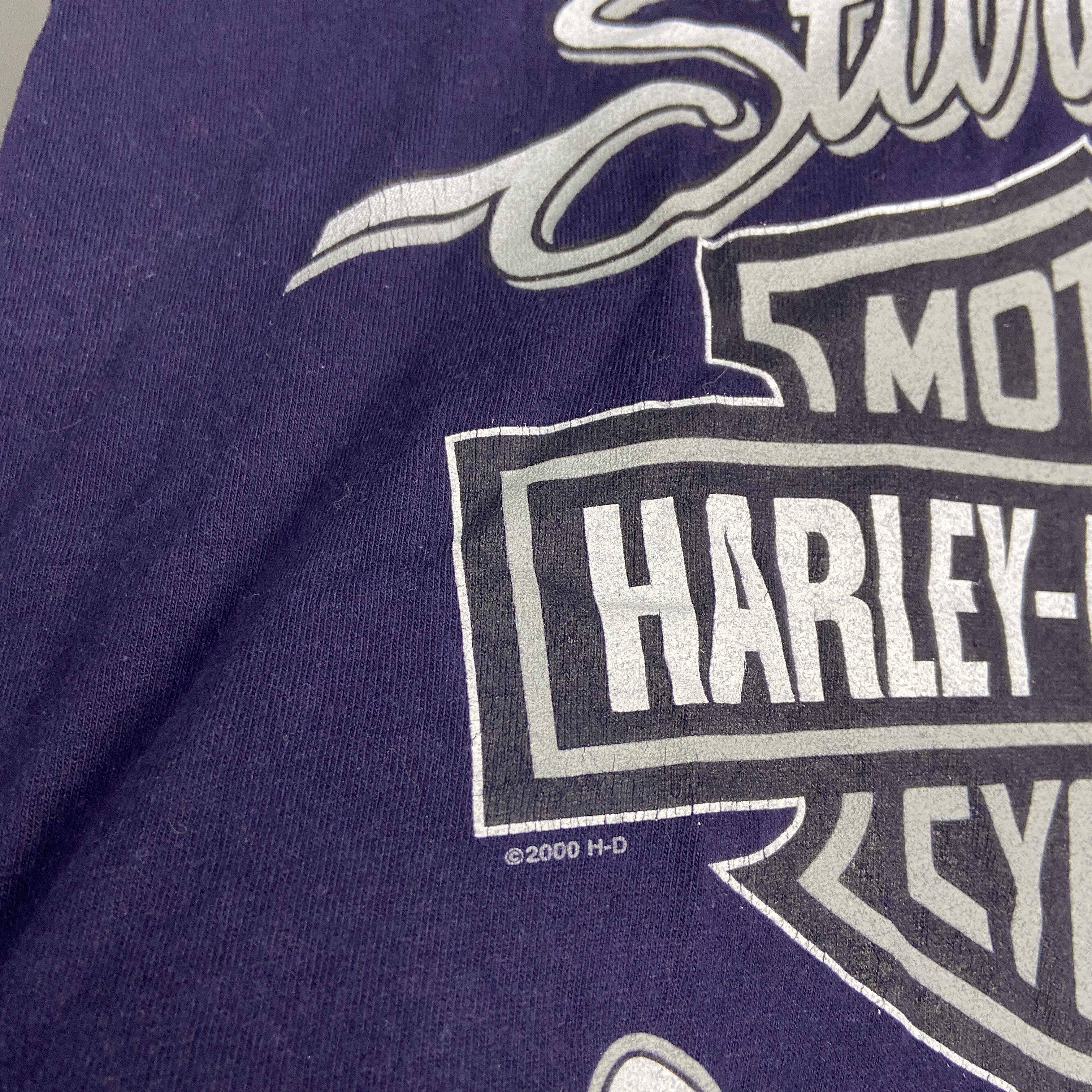 Harley Davidson 2000s HARLEY DAVIDSON ARCHIVE STURGIS SUN FADED TEE - 609 Size US L / EU 52-54 / 3 - 5 Thumbnail