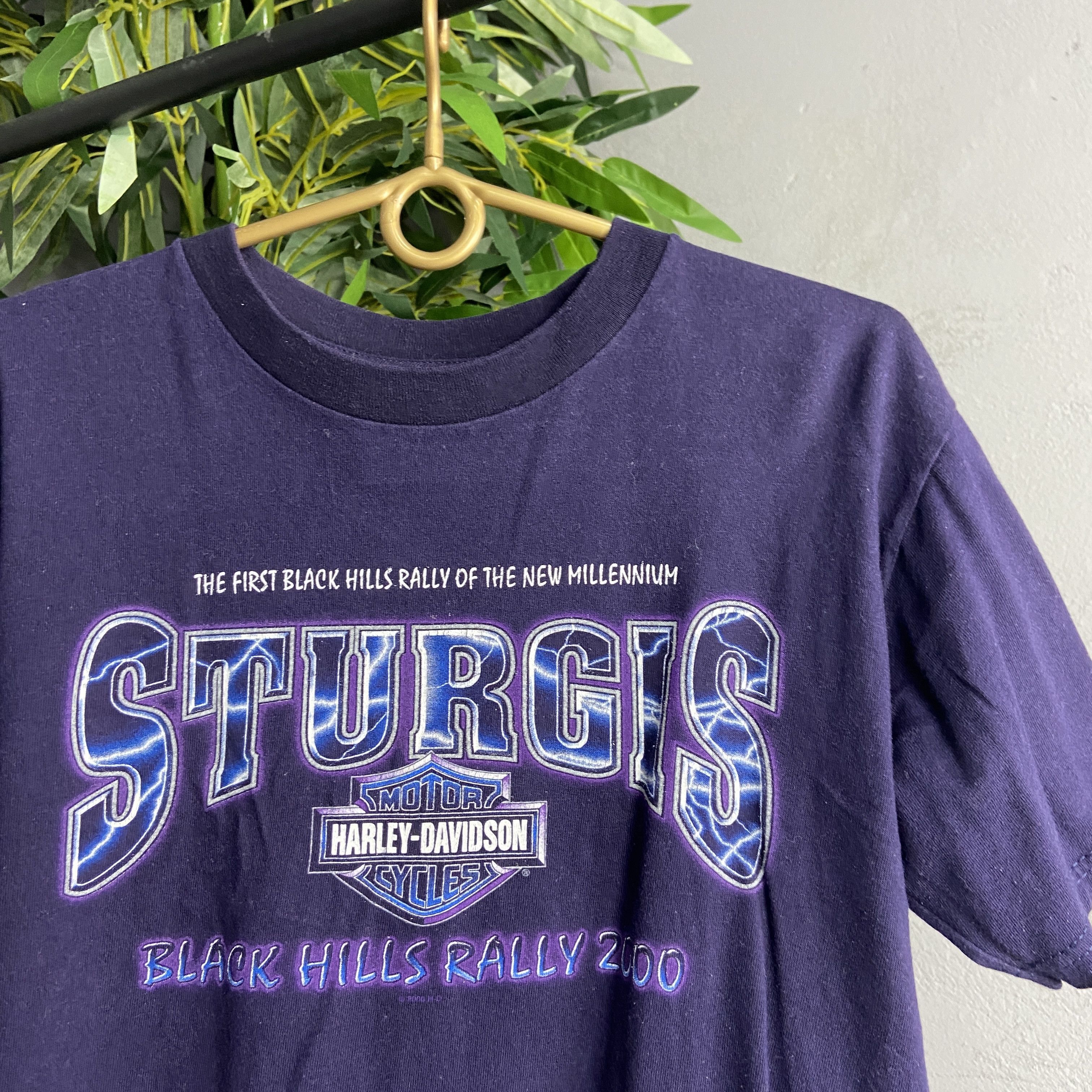 Harley Davidson 2000s HARLEY DAVIDSON ARCHIVE STURGIS SUN FADED TEE - 609 Size US L / EU 52-54 / 3 - 2 Thumbnail