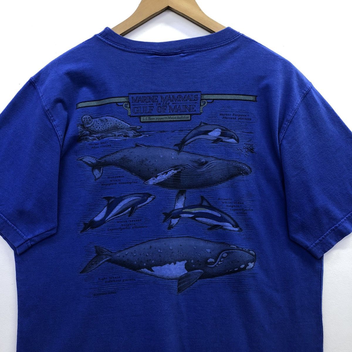 Rare!! L.L Bean Marine MammalsT-shirt