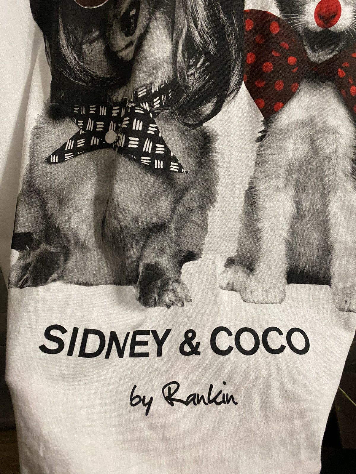 Other Rare T-Shirt Rankin for Comic Relief Sidney&Coco. Size US L / EU 52-54 / 3 - 4 Thumbnail
