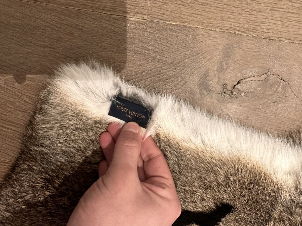 Louis Vuitton Louis Vuitton Exclusive Fur Scarf Size ONE SIZE - 4 Thumbnail