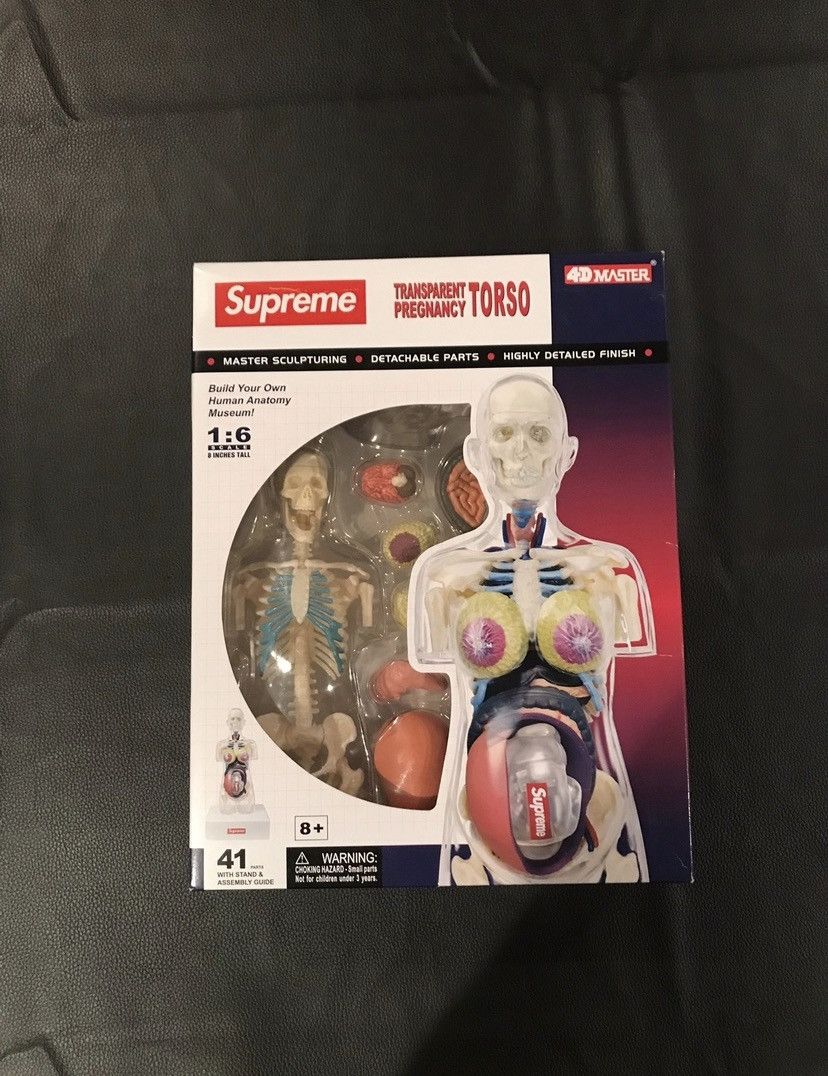 最終値下　新品Supreme Female Anatomy Model人体模型 Supreme Female Anatomy Model Clear - FW18 - US