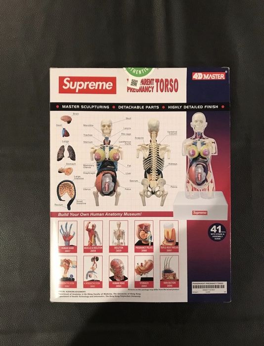 Supreme Supreme - Female Anatomy Model - Clear | Grailed