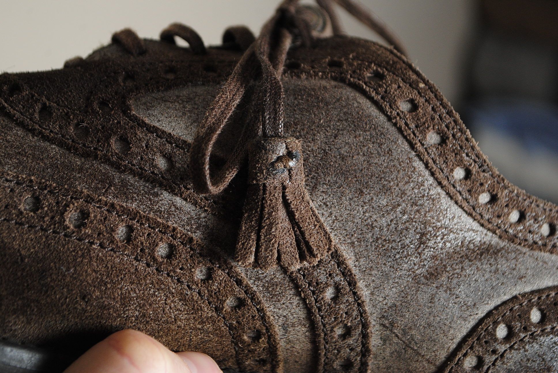 Dolce & Gabbana Dolce & Gabbana Suede Brogues Size 10 Size US 10 / EU 43 - 14 Thumbnail