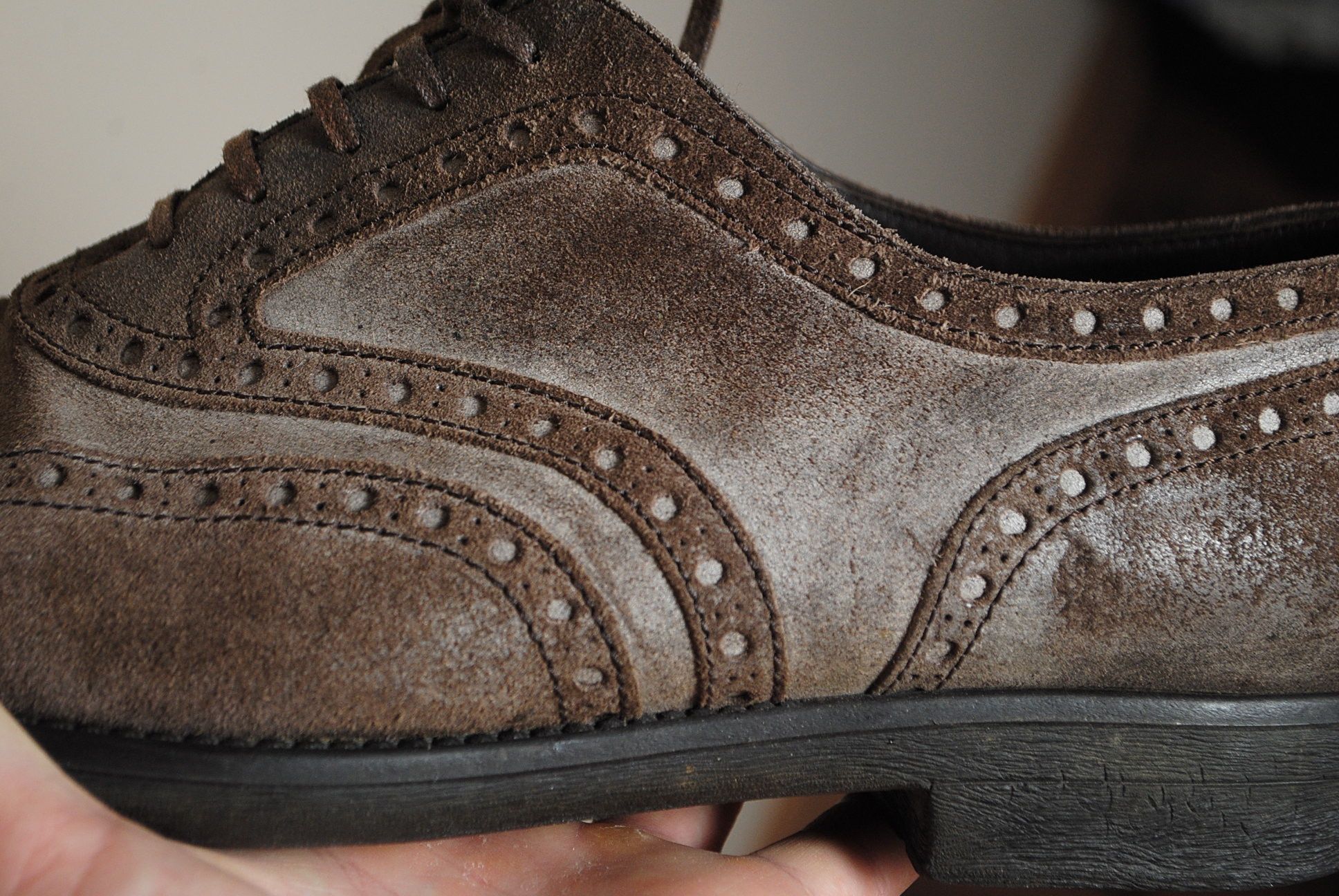 Dolce & Gabbana Dolce & Gabbana Suede Brogues Size 10 Size US 10 / EU 43 - 10 Thumbnail