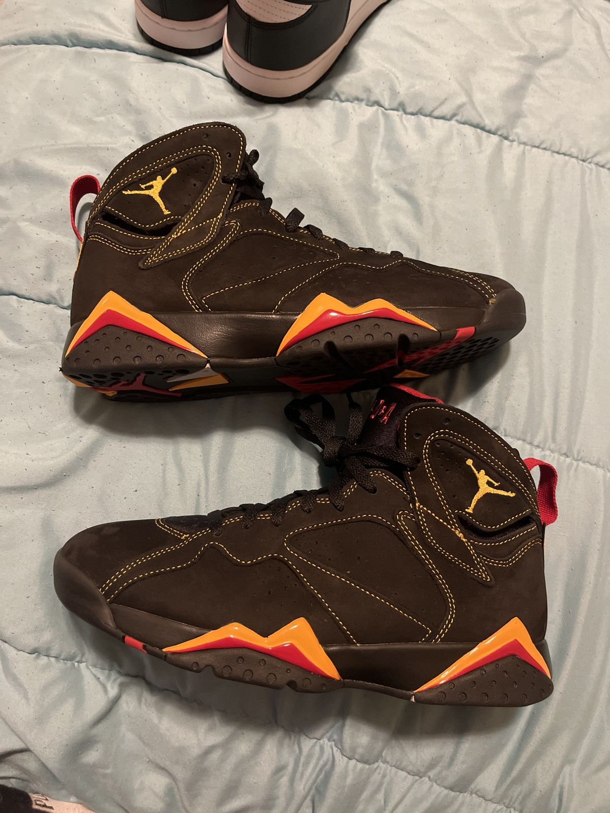 citrus 5s jordan