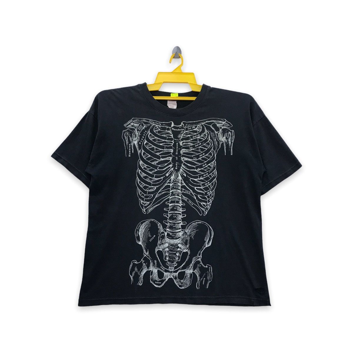 Rare!! Skeleton Human Bones tee
