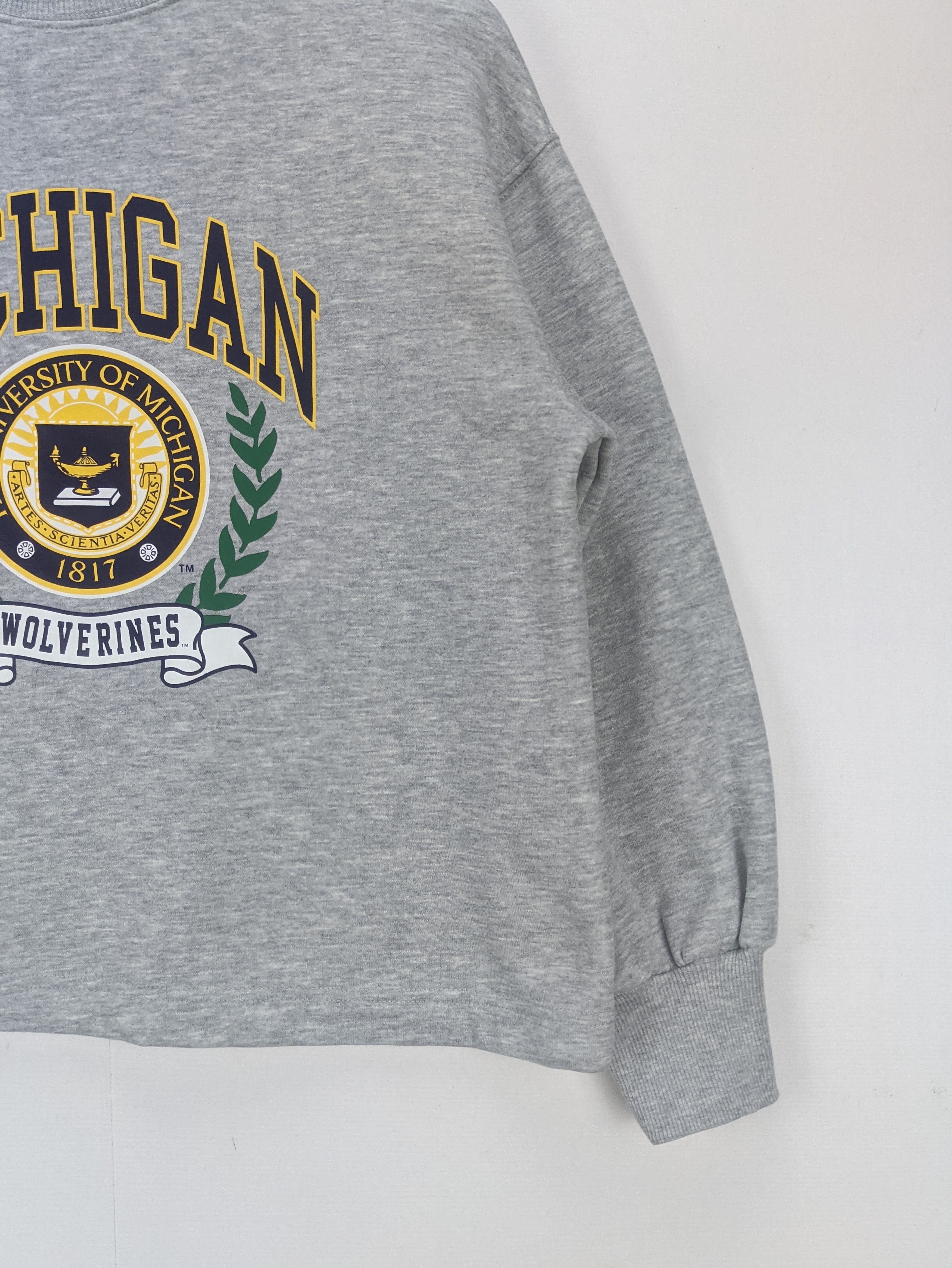 Japanese Brand Steals🔥Cropped Sweatshirt University of Michigan Size M / US 6-8 / IT 42-44 - 6 Thumbnail