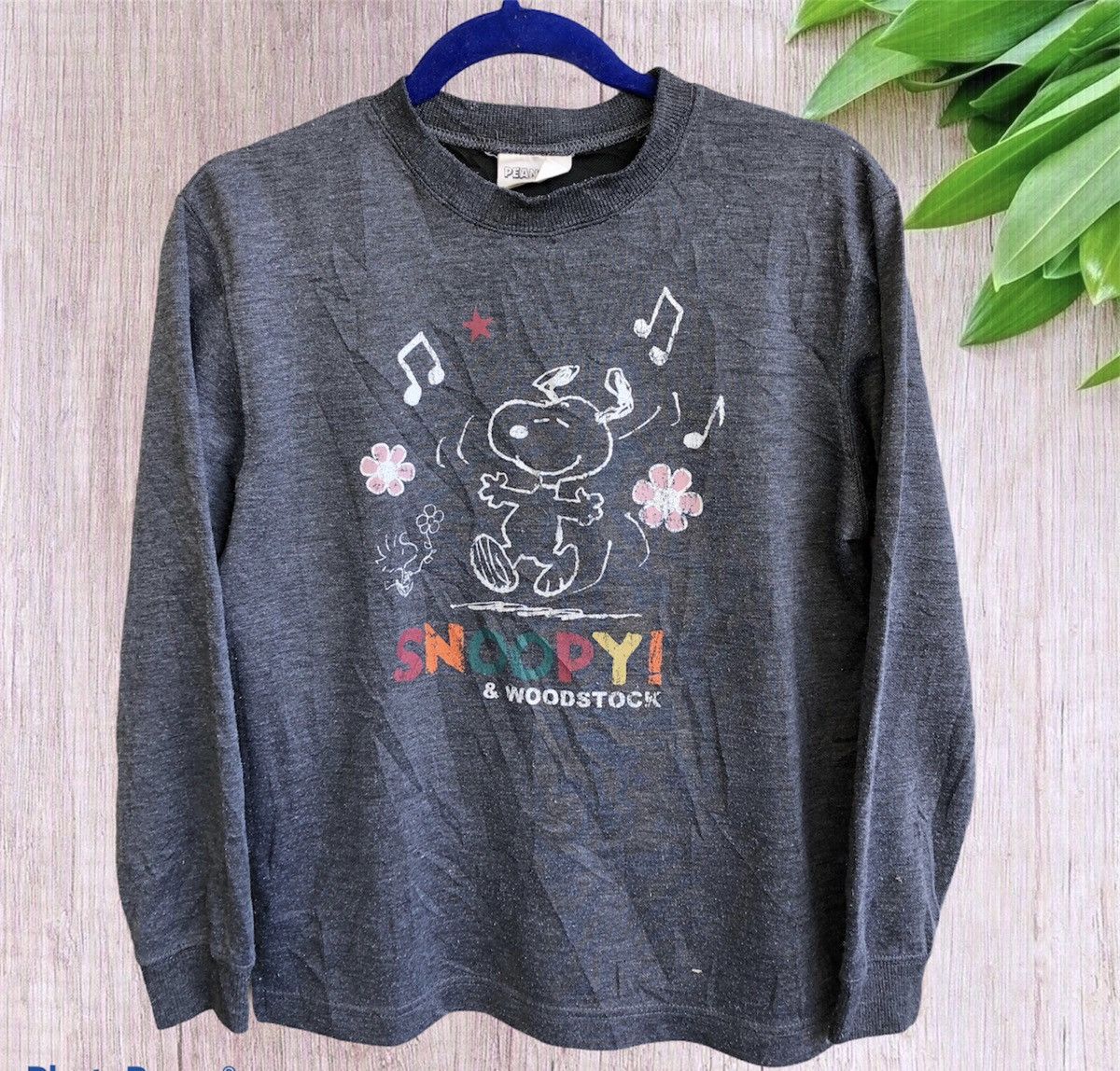 image of Peanuts By Schule Woodstock Sweatshirt in Black, Men's (Size Medium)