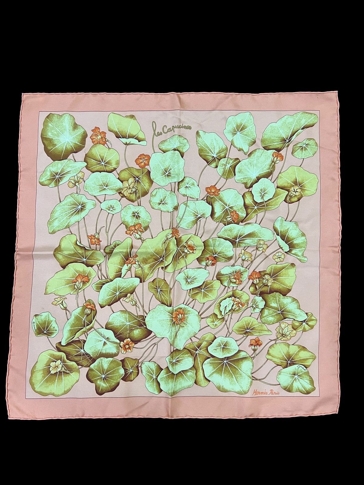 GRAIL🔥OG Hermes Paris Les Capucines Silk Pocket Square Scarf