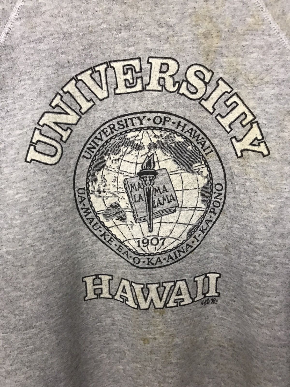 Vintage Vintage University Hawaii 1990 Tag Hanes Size US L / EU 52-54 / 3 - 3 Thumbnail