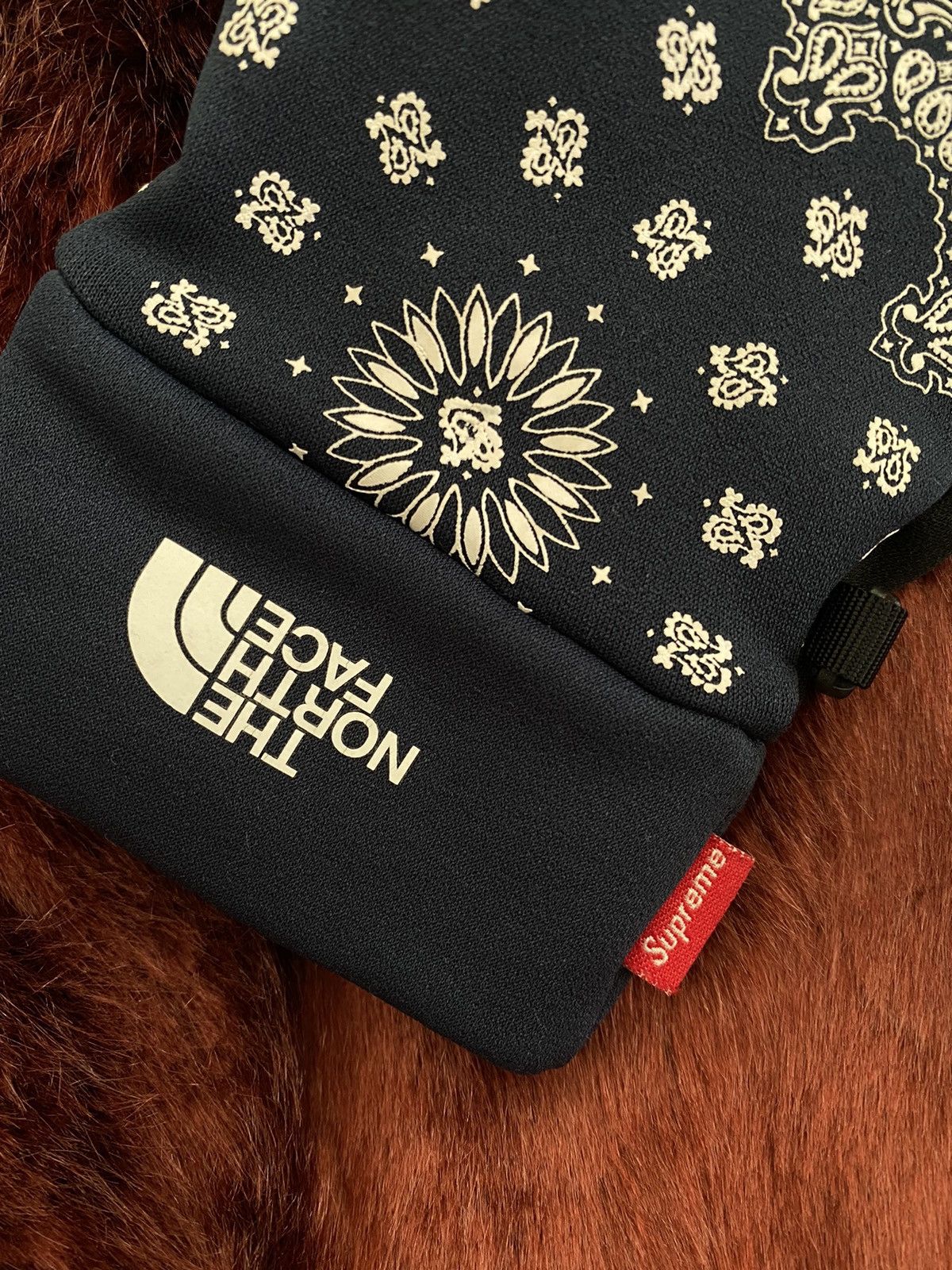 Supreme × The North Face Supreme X The North Face Bandana