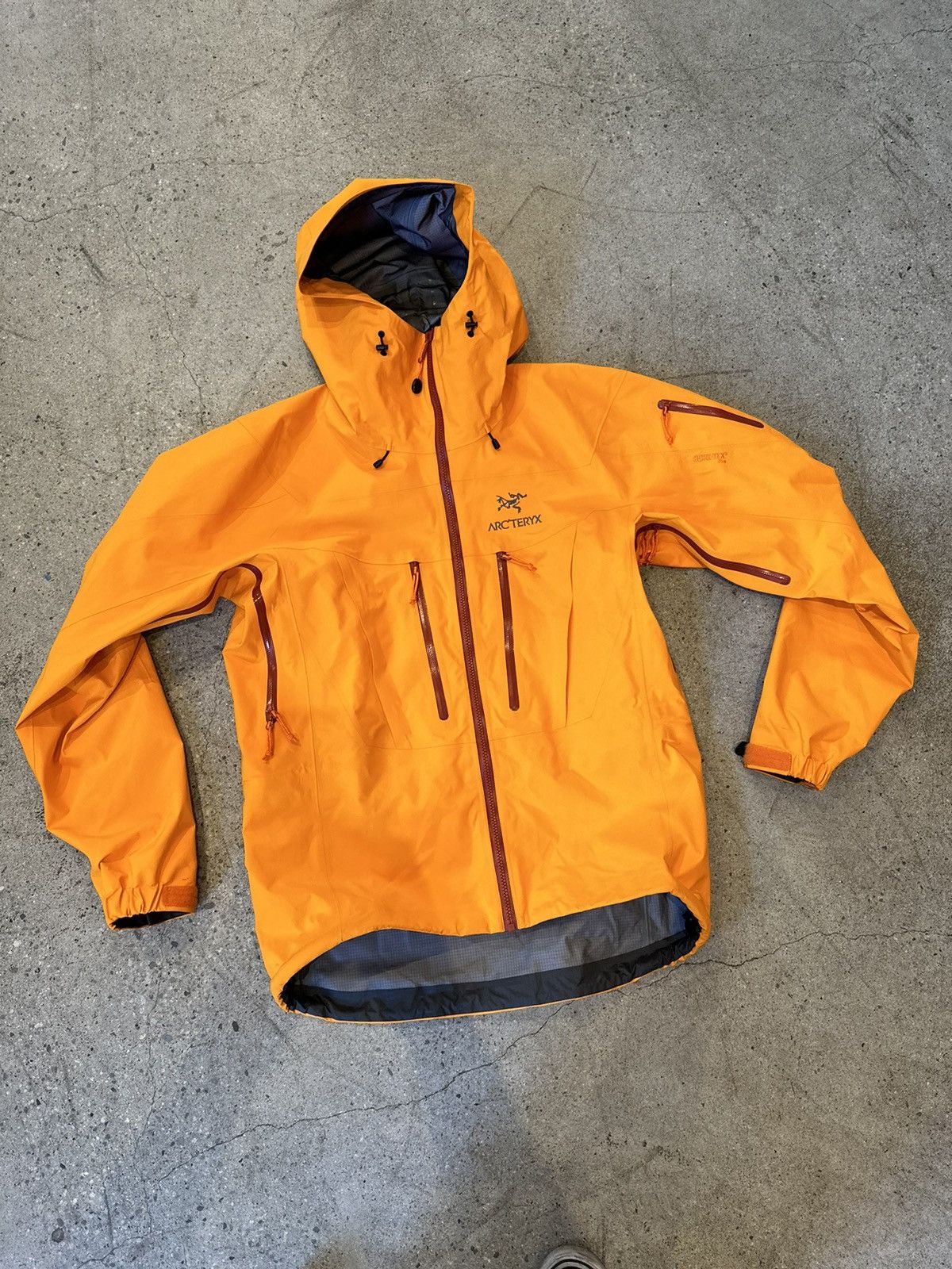 Arc'Teryx Arcteryx Alpha SV Gore Tex Pro Jacket | Grailed