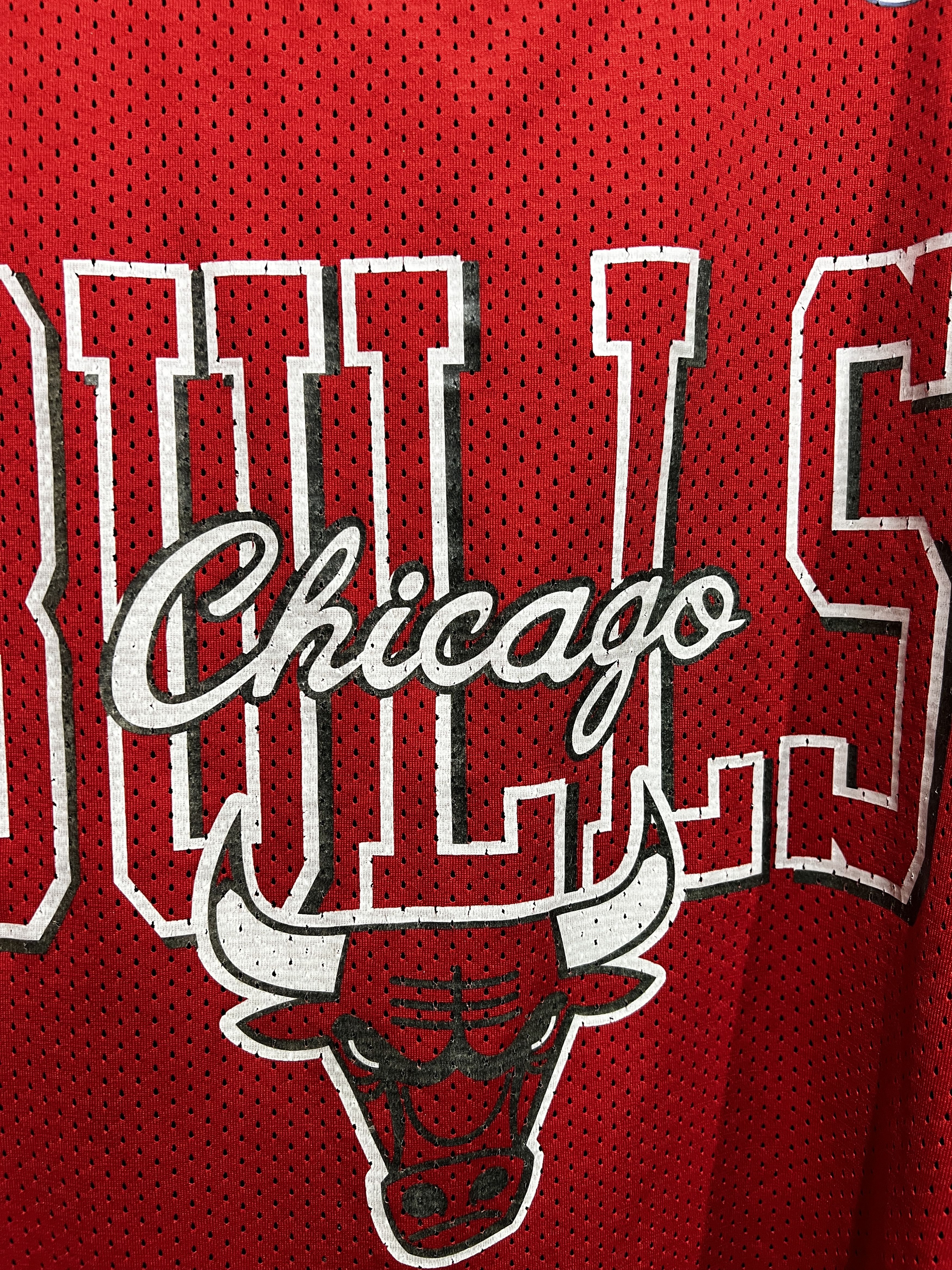 Vintage Chicago Bulls Champion Jersey sz 44 Reversed 2 in 1