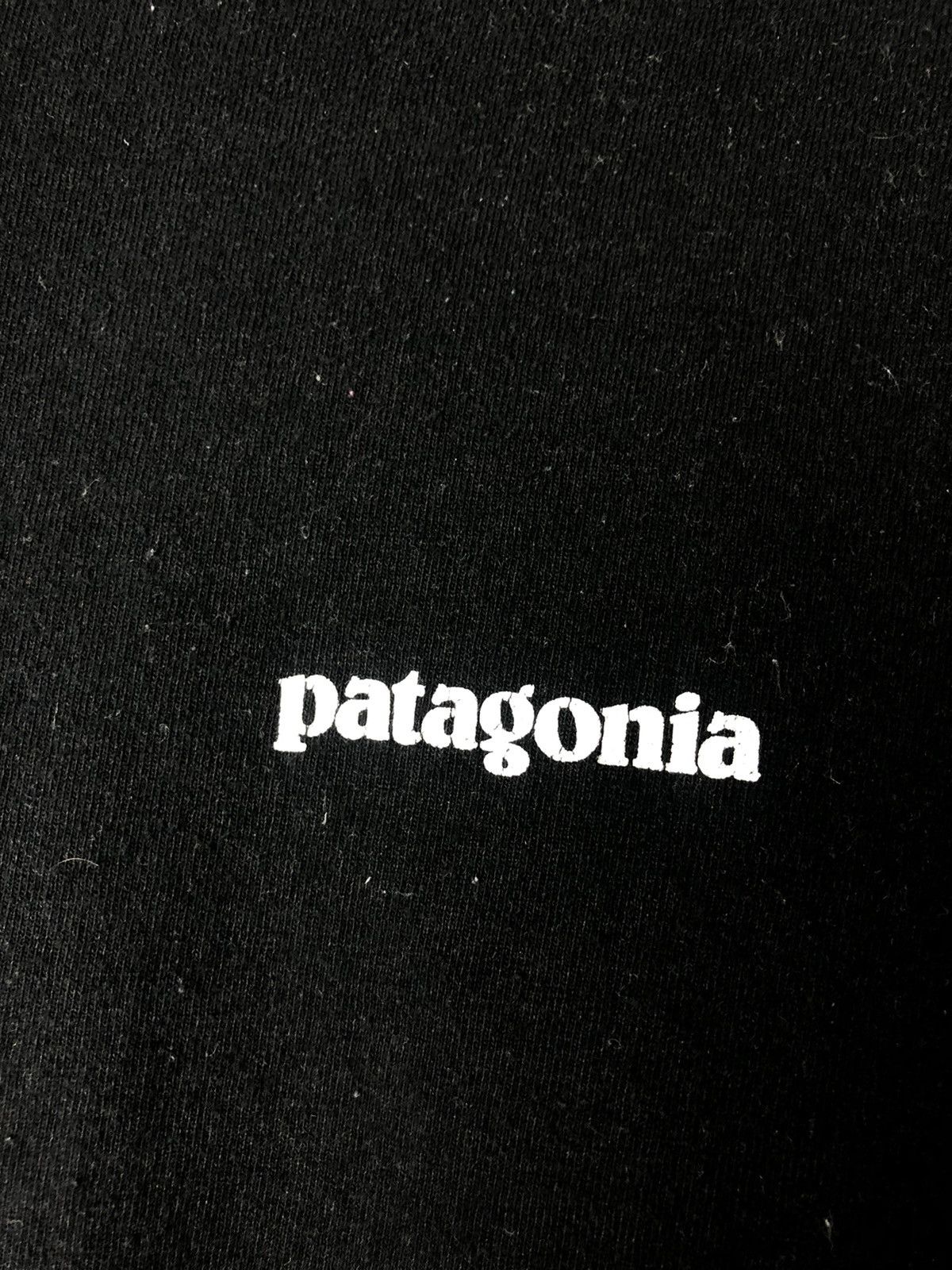 Patagonia Patagonia outdoor t-shirts size XL Size US XL / EU 56 / 4 - 4 Thumbnail