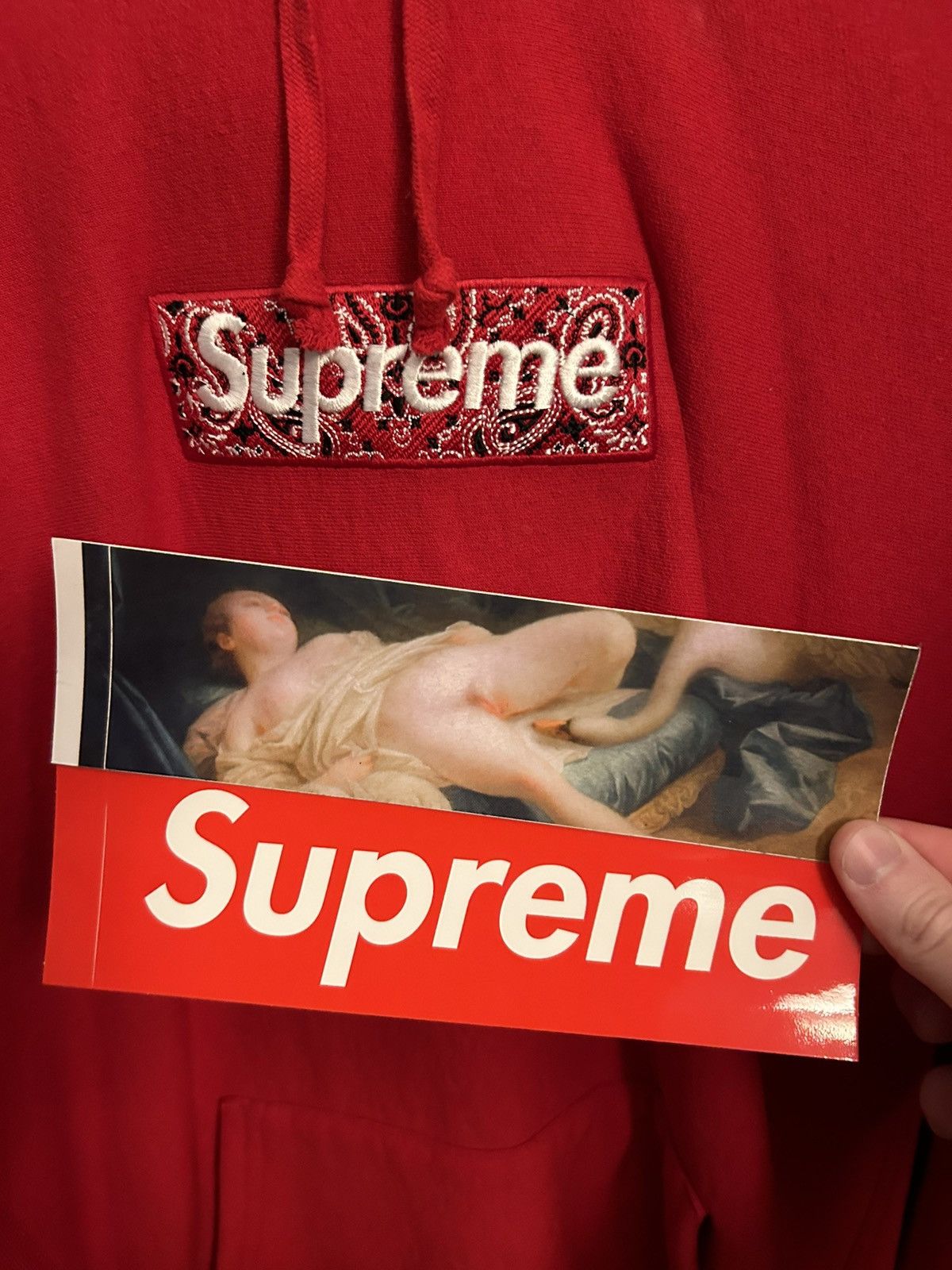 Supreme Bandana Box Logo Hoodie FW19 Size US L / EU 52-54 / 3 - 7 Thumbnail