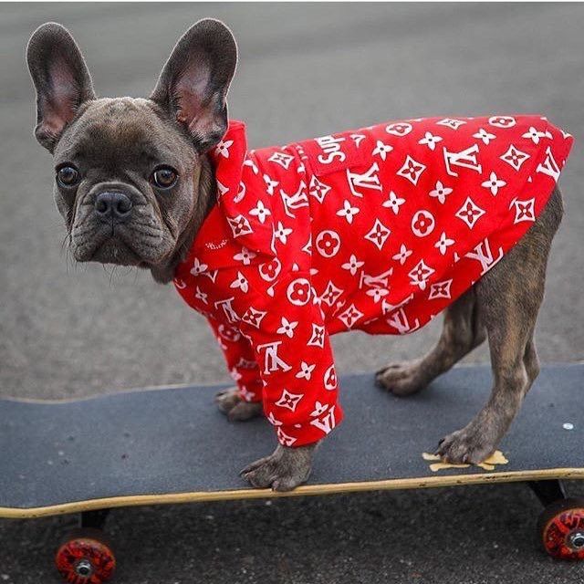 Supreme lv 2024 dog hoodie