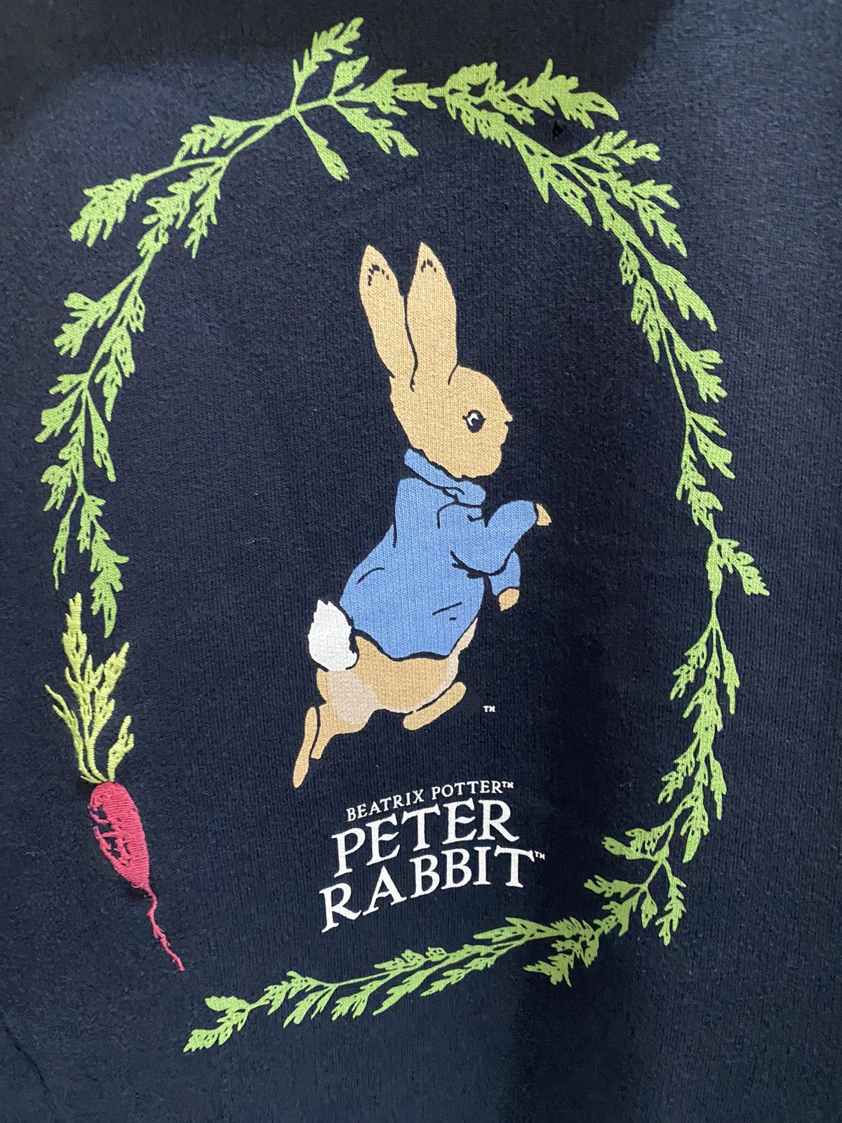 Cartoon Network Peter Rabbit Movie Hoodie Size US M / EU 48-50 / 2 - 2 Thumbnail