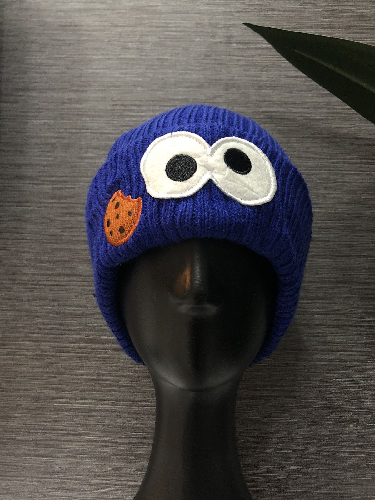 Sesame Street Beanie