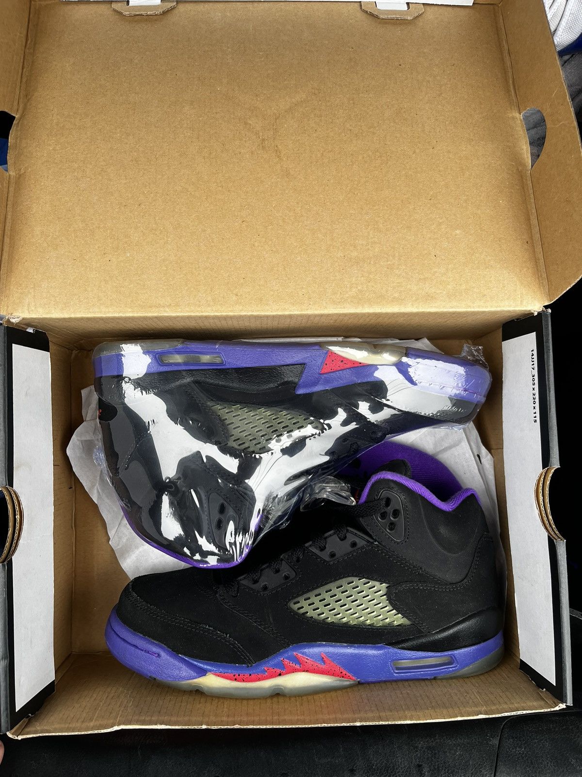 Jordan Retro GG “raptors”