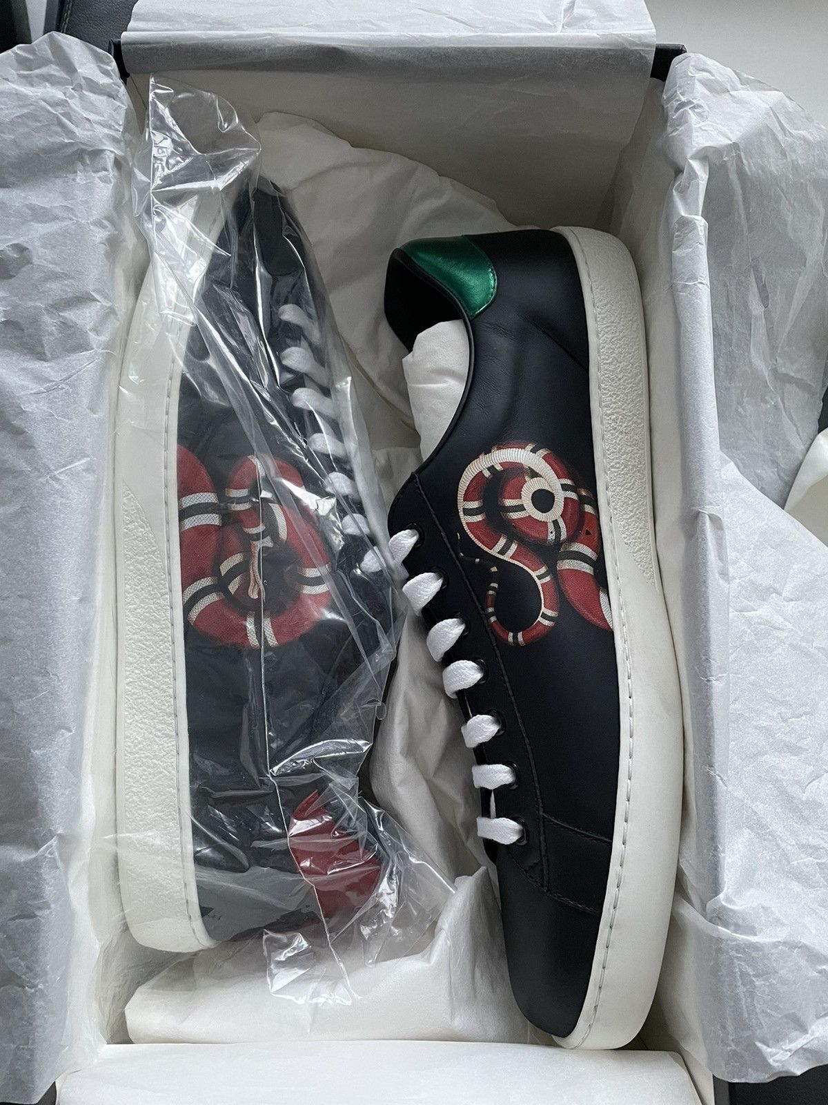 Super Rare Brand NEW Sold Out King Snake ACE Leather Sneaker