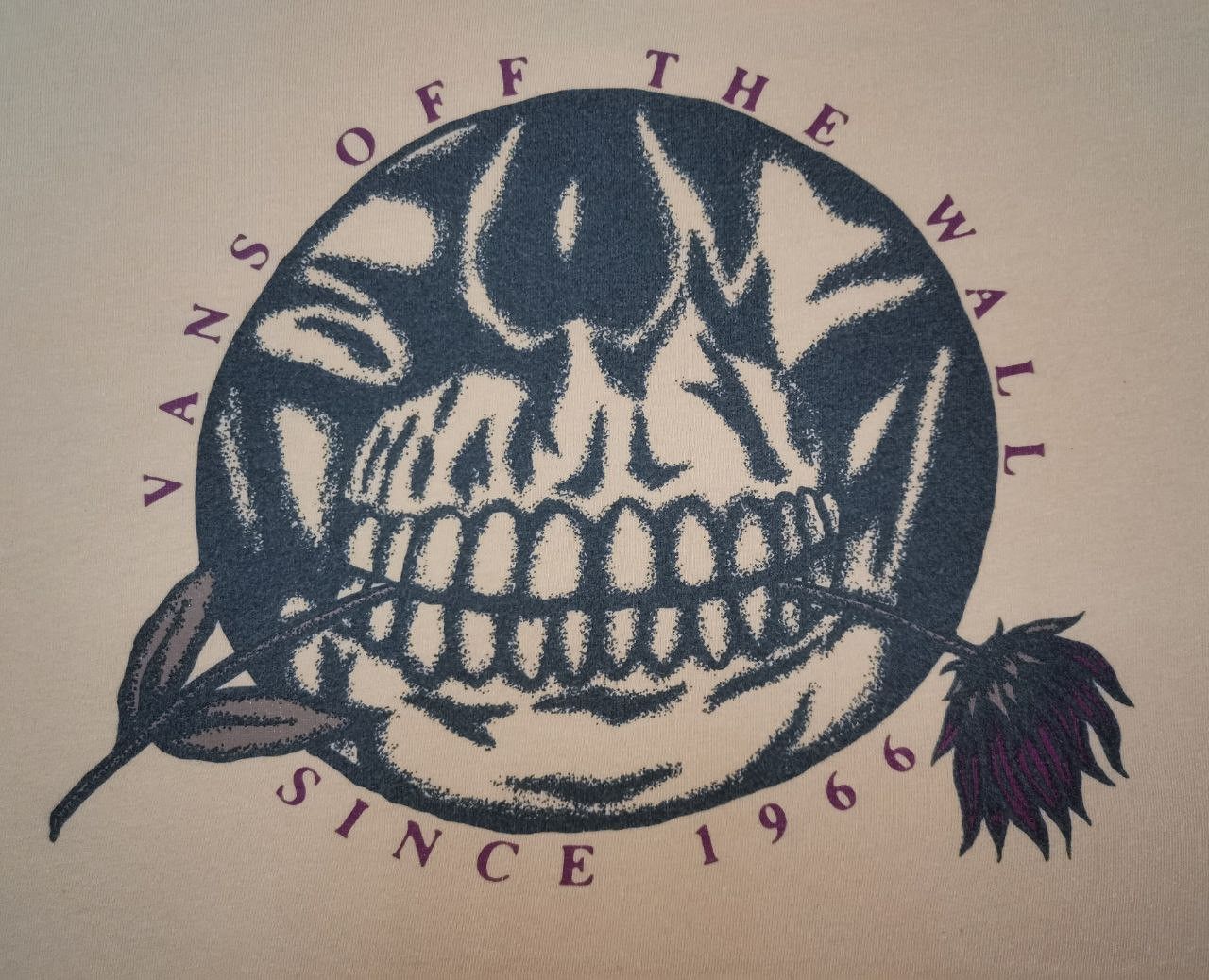 VANS Off The Wall Skull & Rose Since 1966/ Devilman