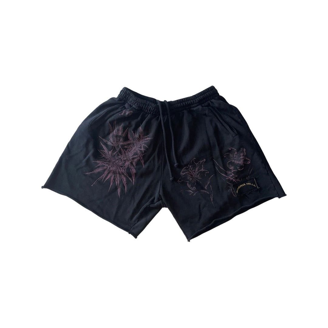 Siberia Hills Shorts