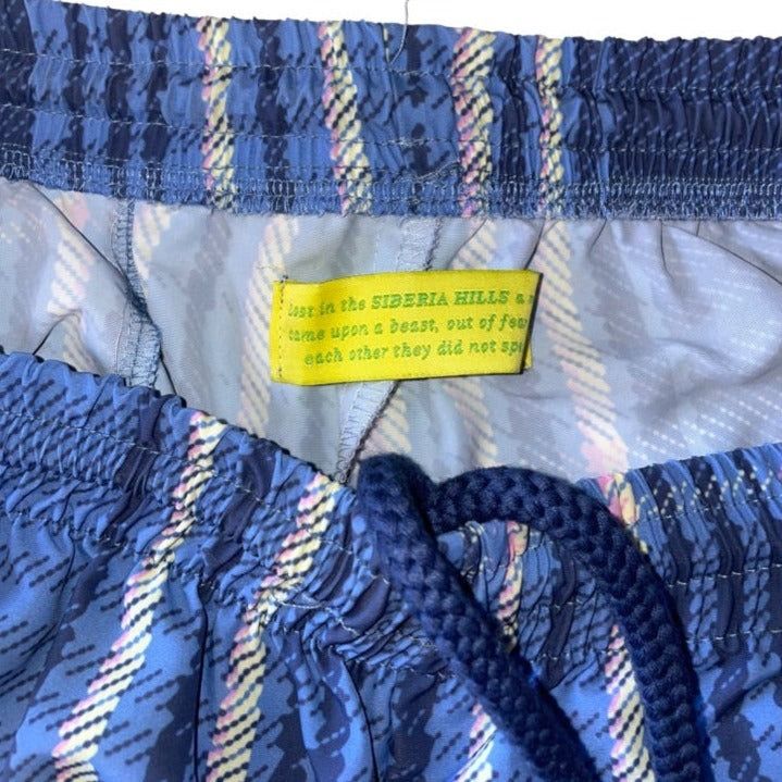 Siberia Hills Siberia Hills Shorts Plaid Size US 34 / EU 50 - 2 Thumbnail