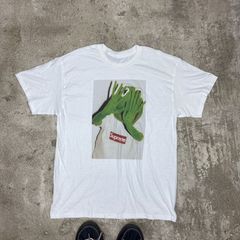 Kermit wearing hotsell supreme shirt