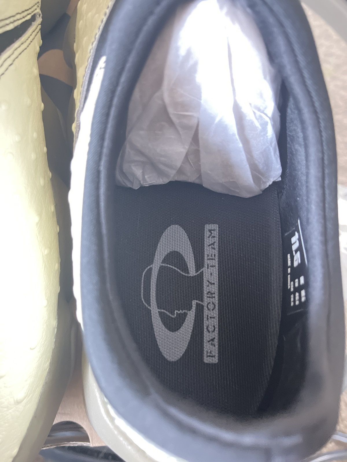 Brian Dead x Oakley Factory Team Ostrich Flesh - Ivory